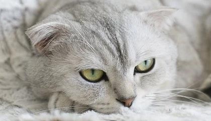 开云体育-大众娱乐平台——开启你的娱乐新世界